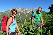 PIZZO ARERA (2512 m) ad anello, salito dalla cresta est e sceso dalla sud il 26 giugno 2018 - FOTOGALLERY